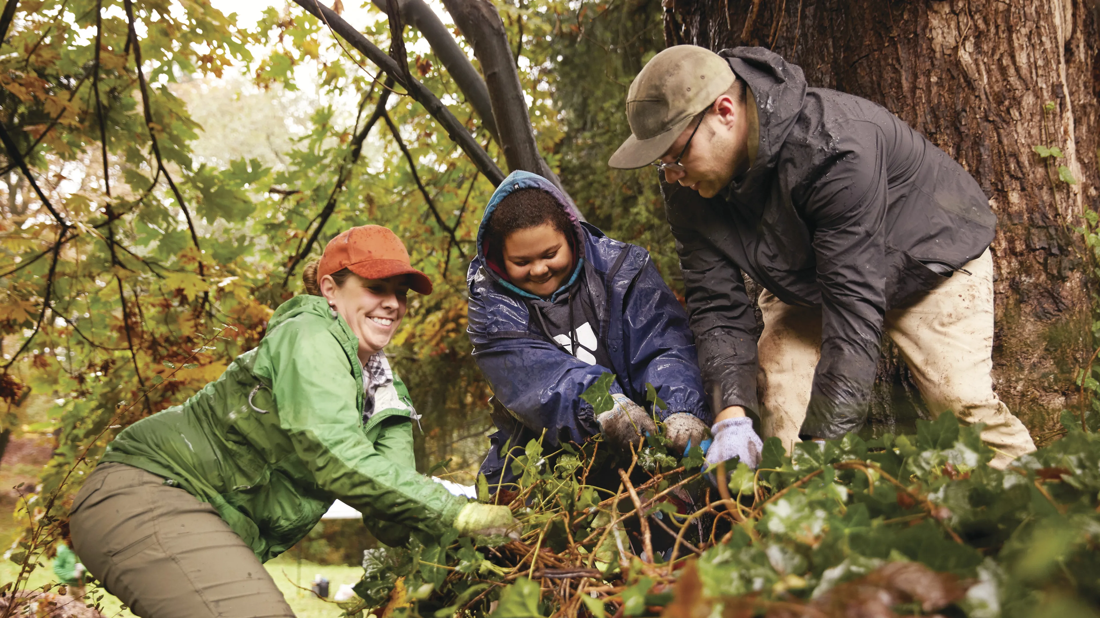 Three people, wearing rain jackets and hats, work together outdoors, removing branches near a large tree, smiling during a community project.