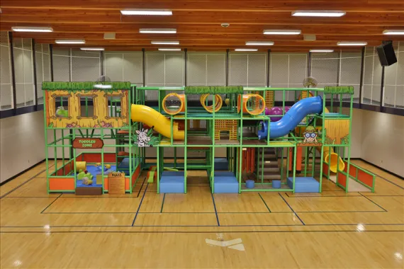 Jungle Gym